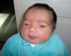 Samden Nicolas