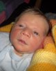 Fynn