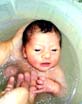 Aurelia Sophia