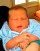 Max Luis