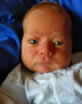 Joshua Rainbouw