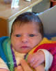 Livia
